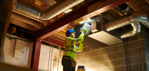 Best Air Duct Mold Removal  in Clarinda, IA