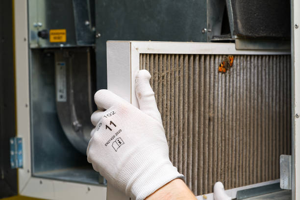 Best Air Duct Cleaning Near Me  in Clarinda, IA